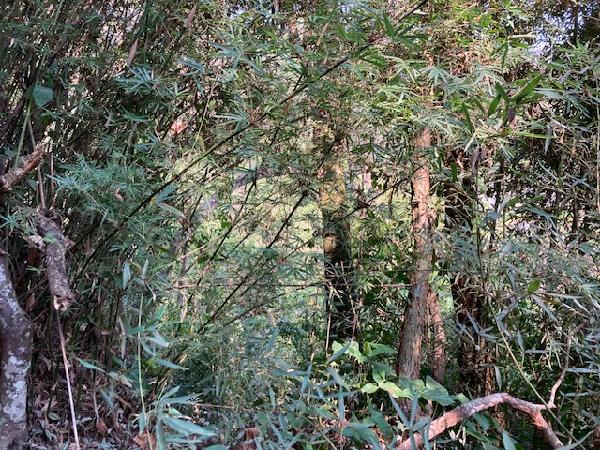 Terreno - Venda, JARDIM COLIBRI, EMBU DAS ARTES, SP