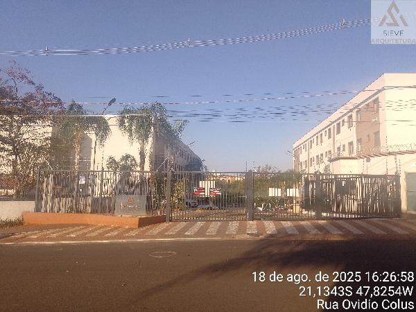 Apartamento - Venda, JARDIM JOSE SAMPAIO JUNIOR, RIBEIRAO PRETO, SP